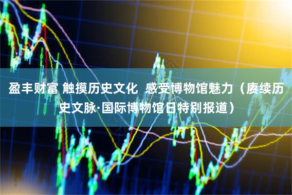 盈丰财富 触摸历史文化  感受博物馆魅力（赓续历史文脉·国际博物馆日特别报道）
